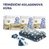 Tříměsíční kolagenová kúra pro psy s dárky navíc