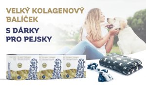 Kolagenový balíček pro psy s dárky