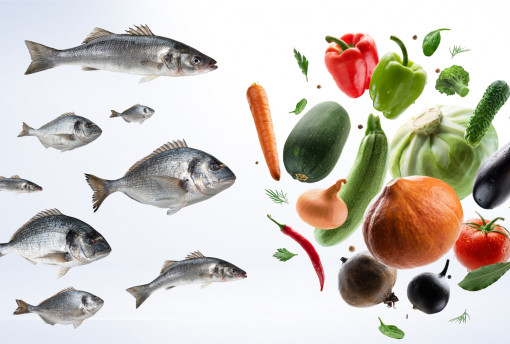 Funguje veganská (rostlinná) alternativa kolagenu?