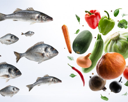 Funguje veganská (rostlinná) alternativa kolagenu?