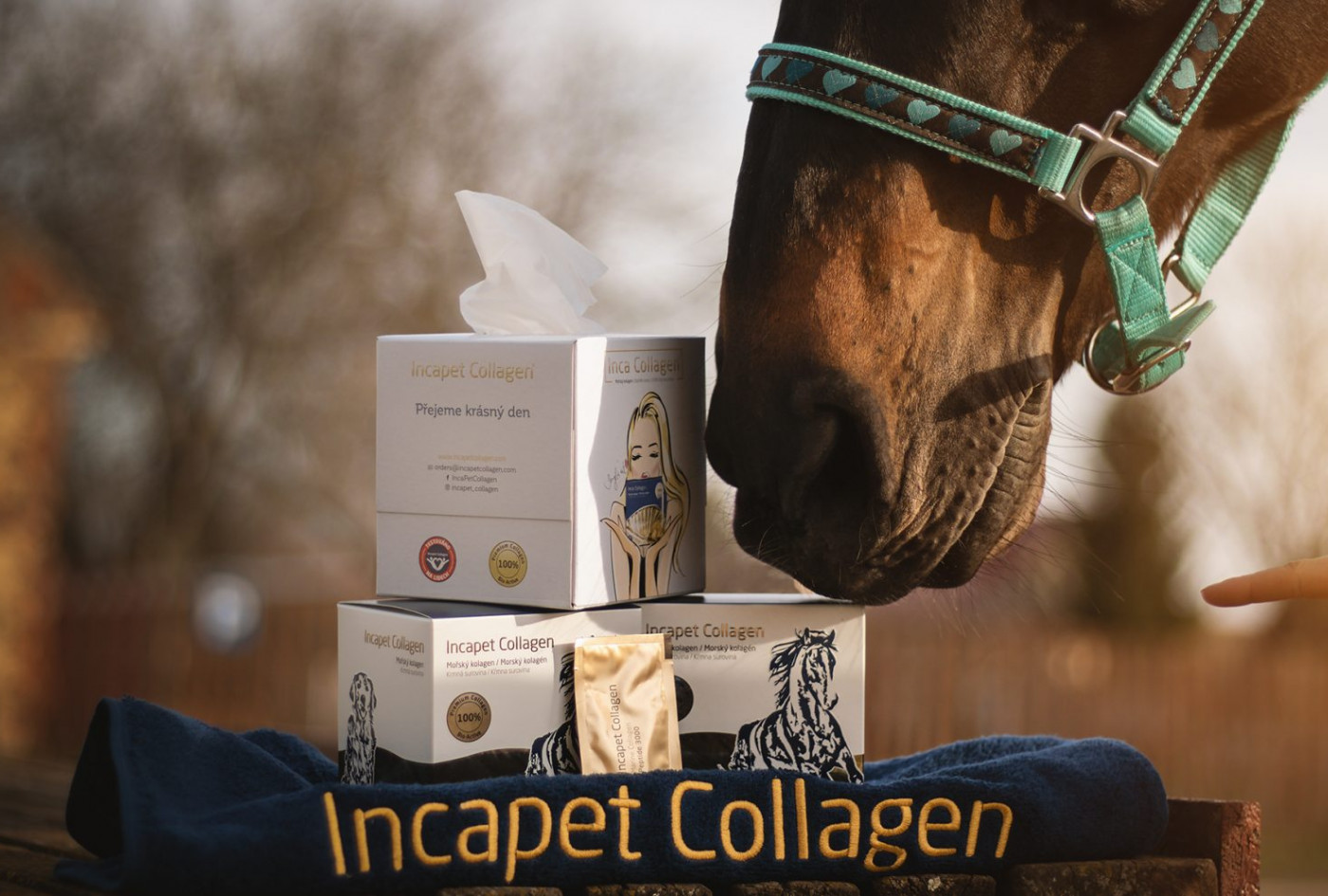 Jak Incapet Collagen pomohl prodloužit život koním