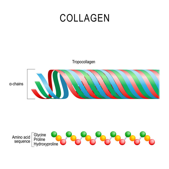 Bioaktivní kolagen